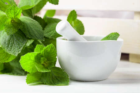 Fresh spearmint leaves and white ceramic mortar. Aromatherapy, spa, and herbal medicine ingredients.