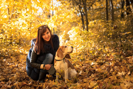 Young woman walking with a beagle. Autumn sunny day in the park.