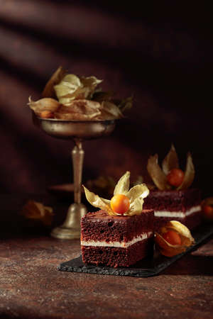 Chocolate cake with physalis on a brown background. Copy space.の写真素材
