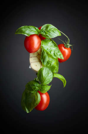 Ripe red tomatoes with basil and garlic on a black background.