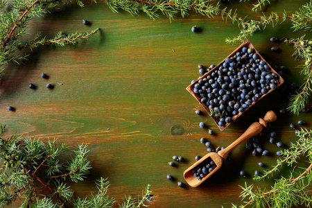 Juniper branches and seeds on a old wooden background. Top view with copy space.の写真素材