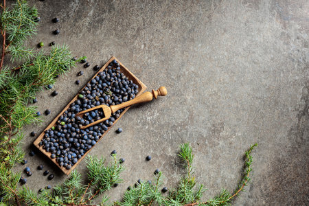 Wooden bowl with seeds of juniper. Top view with copy space.の写真素材