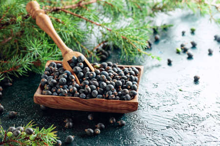 Wooden dish with seeds of juniper on an old dark blue table.の写真素材