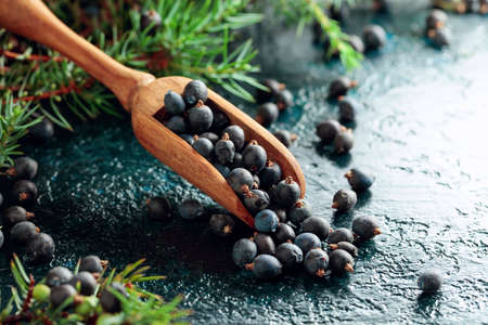 Wooden spoon with seeds of juniper on an old dark blue table.の写真素材
