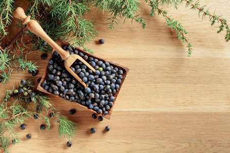 Wooden spoon with seeds of juniper on an old wooden table. Copy space.の写真素材