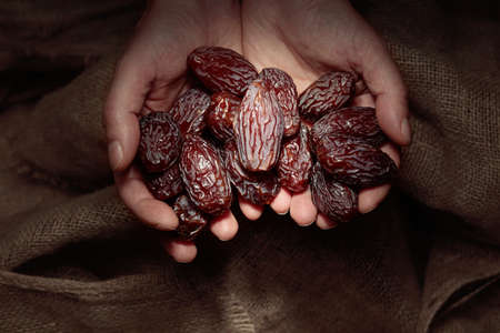 Juicy dates in hands on a background of burlap.