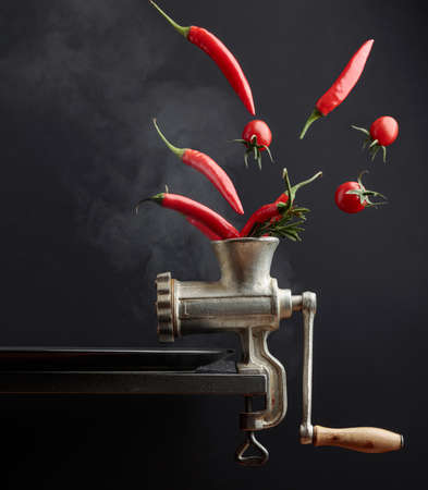Red hot chili pepper with rosemary, and tomato. The conceptual image on the topic of spicy food. Copy space.の写真素材