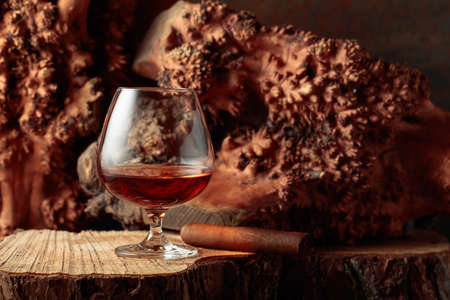 Snifter of brandy and cigar on an old dried stump. Copy space.