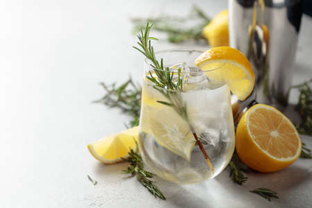 Refreshing drink with natural ice, lemon, and rosemary in a frozen glass. Copy space.