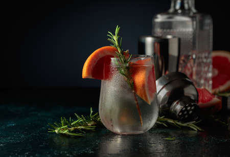 Cocktail gin tonic with ice, grapefruit, and rosemary. Refreshing drink with natural ice in a frozen glass.の写真素材