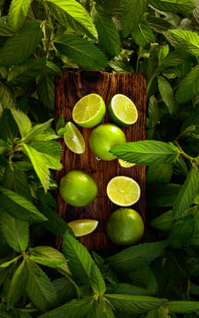 Limes and growing mint in the garden. Lime slices and mint leaves on an old wooden background.の写真素材