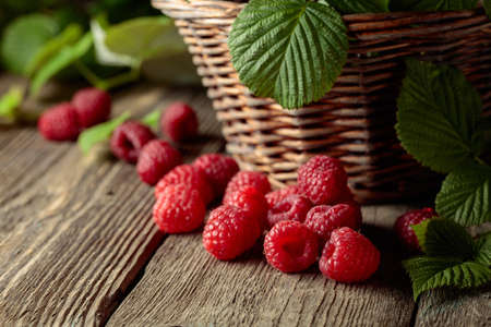Ripe juicy raspberries with leaves on an old wooden table.