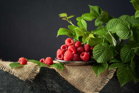 Ripe juicy raspberries with leaves on a black background. Copy space.