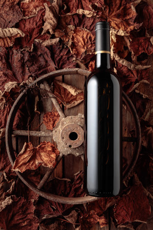 Bottle of red wine on the rusty wheel and dried-up vine leaves. Old expensive wine concept. Top view.の写真素材