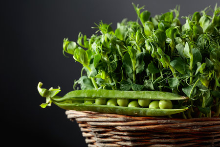 Fresh pea pods and microgreen sprouts. Concept of healthy food.