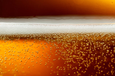 Glass of tasty beer with foam, closeup. Macro shot.