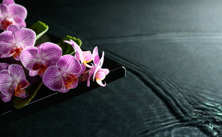 Beautiful purple orchid flowers on a blackboard. Water ripples in the background.  Concept banner for spa and cosmetic body care products.の写真素材