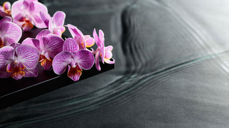 Beautiful purple orchid flowers on a blackboard. Water ripples in the background. Concept banner for...