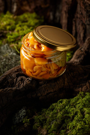 Homemade pickled honey mushrooms in a glass jar. Small jar of marinated mushrooms on a snag in forest.の写真素材