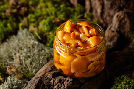 Homemade pickled honey mushrooms in a glass jar. Small jar of marinated mushrooms on a snag in forest.の写真素材