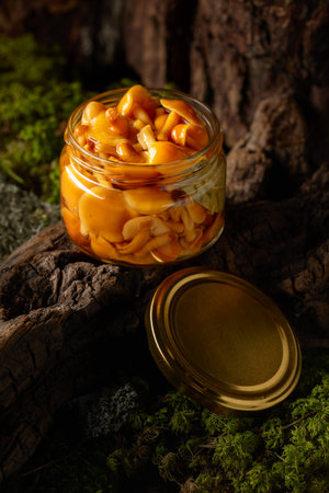 Homemade pickled honey mushrooms in a glass jar. Small jar of marinated mushrooms on a snag in forest.の写真素材
