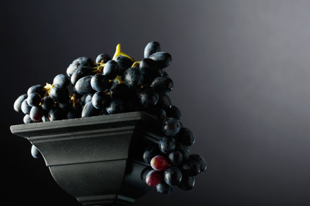 Close-up of blue grapes on a black background. Selective focus. Copy space.の写真素材