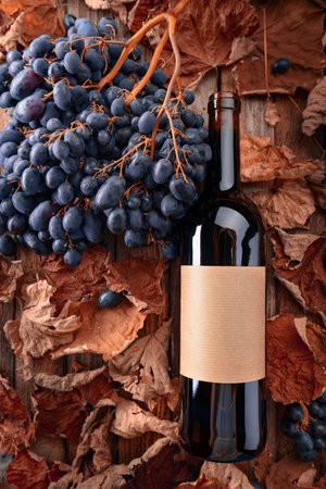 Bottle of red wine, blue grapes and dried-up vine leaves on an old wooden table. On a bottle old empty label. Top view.の写真素材