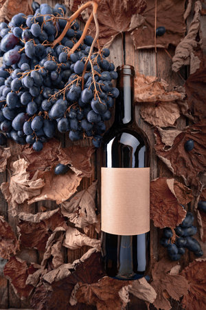 Bottle of red wine, blue grapes and dried-up vine leaves on an old wooden table. On a bottle old empty label. Top view.の写真素材