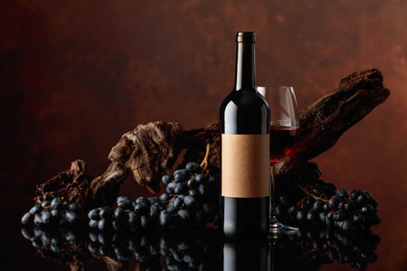 Bottle of red wine with old empty label. In the background old weathered snag and blue grapes.の写真素材