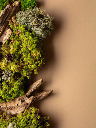 Abstract north nature scene with a composition of lichen, moss, and old snags on a beige background....