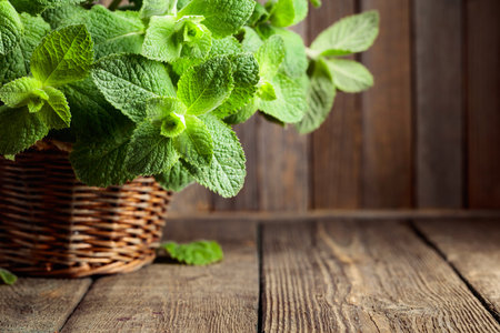 Fresh mint in a basket on an old wooden table. Copy space.の写真素材