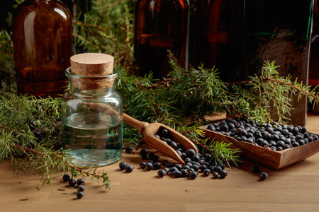 Juniper tincture with berries and branches on an old wooden table.の写真素材