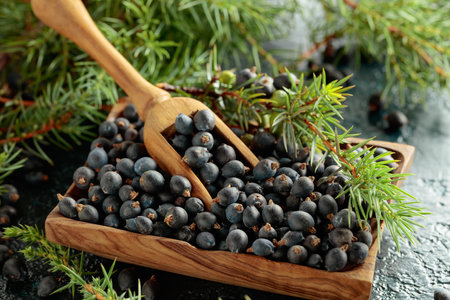 Wooden dish with juniper berries on an old dark blue table.の写真素材