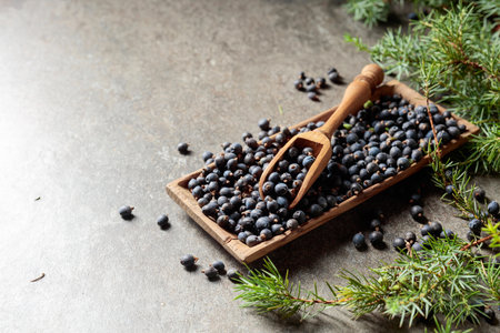 Wooden bowl with juniper berries on an old stone table. Copy space.の写真素材
