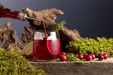 Refreshing cranberry hard seltzer with lime, rosemary, and ice. Light, natural, and pure â perfect for those who value eco-friendly choices, a healthy lifestyle, and the true taste of nature.の写真素材