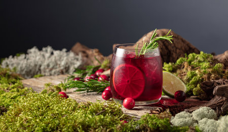 Refreshing cranberry hard seltzer with lime, rosemary, and ice. Light, natural, and pure â perfect for those who value eco-friendly choices, a healthy lifestyle, and the true taste of nature.の写真素材