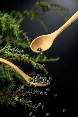 Juniper seeds are sprinkled with a wooden spoon. Juniper cones are used in cooking, perfumery and medicine as an anti-inflammatory and antibacterial agent.の写真素材