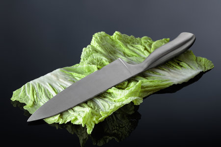 Fresh Chinese cabbage and knife on a black reflective background.の写真素材