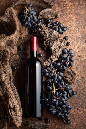 Bottle of red wine with blue grapes and old weathered snags.の写真素材