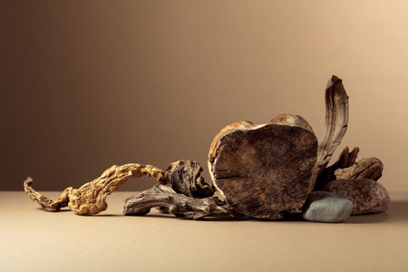 Composition with natural wooden snags and dry stump for advertising eco products. Beige background with copy space.の写真素材