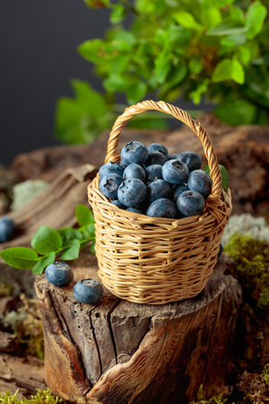 A small wicker basket filled with ripe blueberries. Fresh berries are piled high in the basket, with some spilling onto the surface below.の写真素材