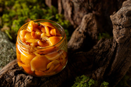 Homemade pickled honey mushrooms in a glass jar. Small jar of marinated mushrooms on a snag in forest.の写真素材