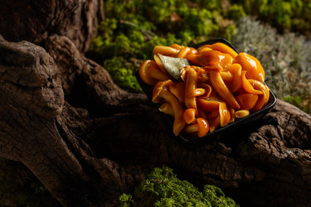 Homemade pickled honey mushrooms in a black bowl. Marinated mushrooms on a snag in forest.の写真素材