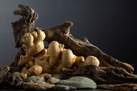 Fresh ginger root with old snags and stones on a black background. Concept of east herbal medicine.