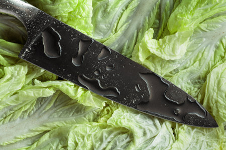 New kitchen knife with water drops on a fresh Chinese cabbage leaves. Macro shot.の写真素材