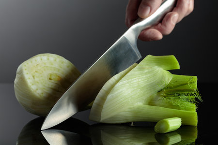 Hand with knife and cut fennel bulb. Fennel bulb with green stems on black reflective background.の写真素材