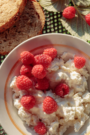 Ricotta or cottage cheese with fresh raspberries. A simple country breakfast, natural morning sunlight.の写真素材