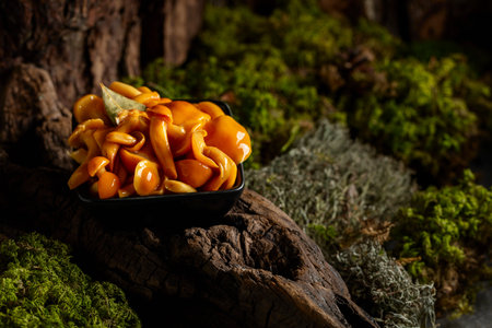 Homemade pickled honey mushrooms in a black bowl. Marinated mushrooms on a snag in forest.の写真素材