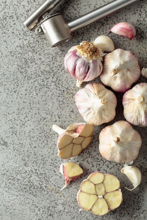 Garlic and garlic press on a gray stone kitchen table. Top view.の写真素材