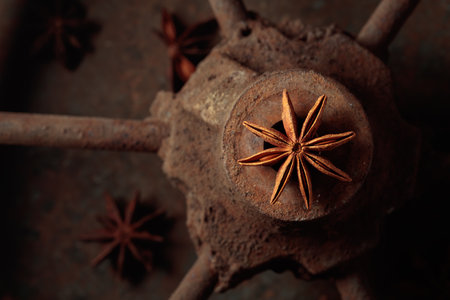 Anise on a rusty background. Top view.の写真素材